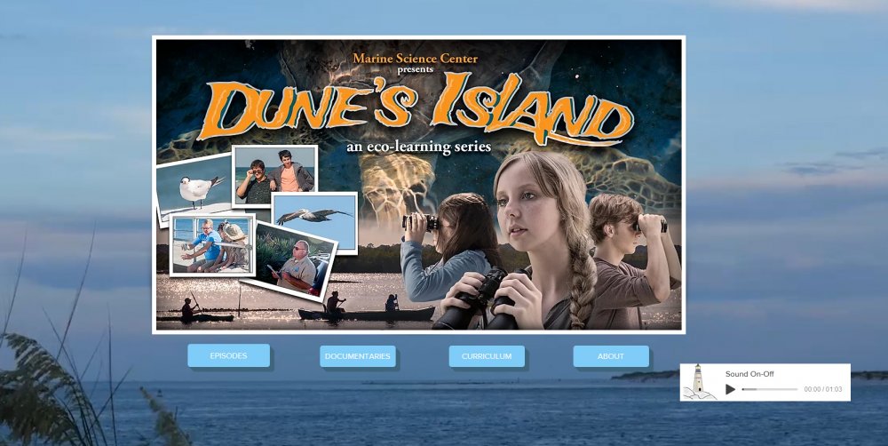 Dune's Island Wix Site Image.jpg