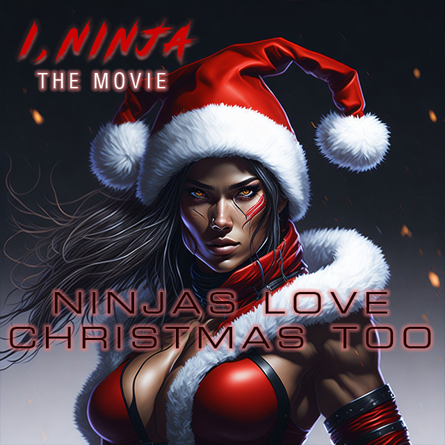Ninja Christmas Top.jpg