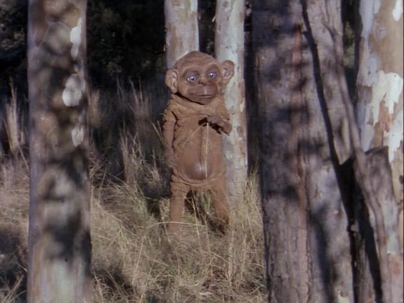 Nukie-2.jpg