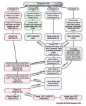 editing flow chart.jpg