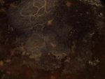 Textures - 005.jpg