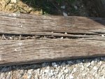Textures - 006.jpg