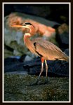 IMG_5042.jpg
