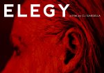 ELEGY poster.jpg