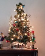 IMG_20201206_141227_770.jpg