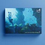 beforesandafters_issue20_socialsquare2.jpg