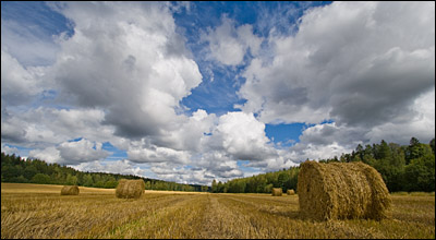 great_depth_of_field_in_landscape_photo.jpg