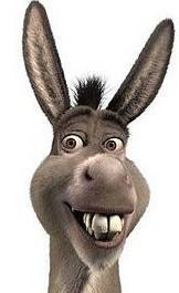 donkey_head.jpg