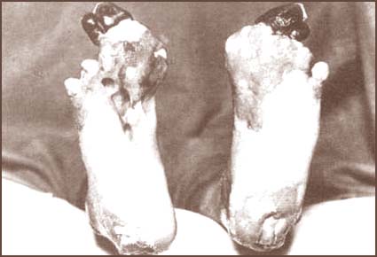 4271135_orig.jpg