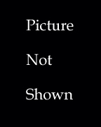 picture.not.shown.jpg