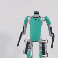200.gif