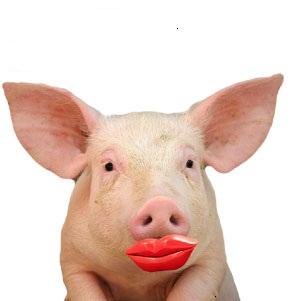 lspig1.jpg