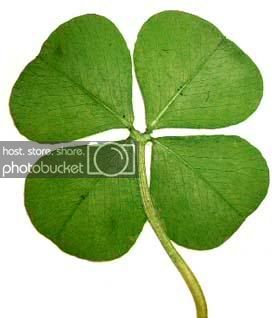 four_leaf_clover.jpg