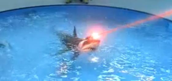 Sharks-With-Frickin-Laser-Beams-Attached-To-Their-Heads-Austin-Powers.jpg