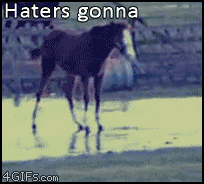 Haters-horse-ice.gif