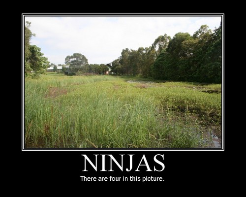 ninja-hiding.jpg