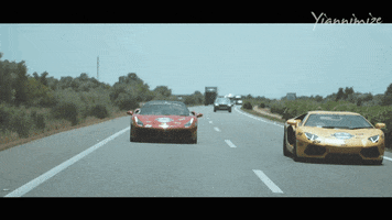 Slow Motion Win GIF by Yiannimize