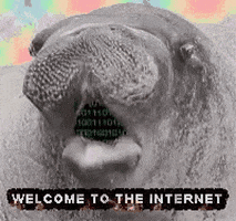 The Internet GIF by MOODMAN