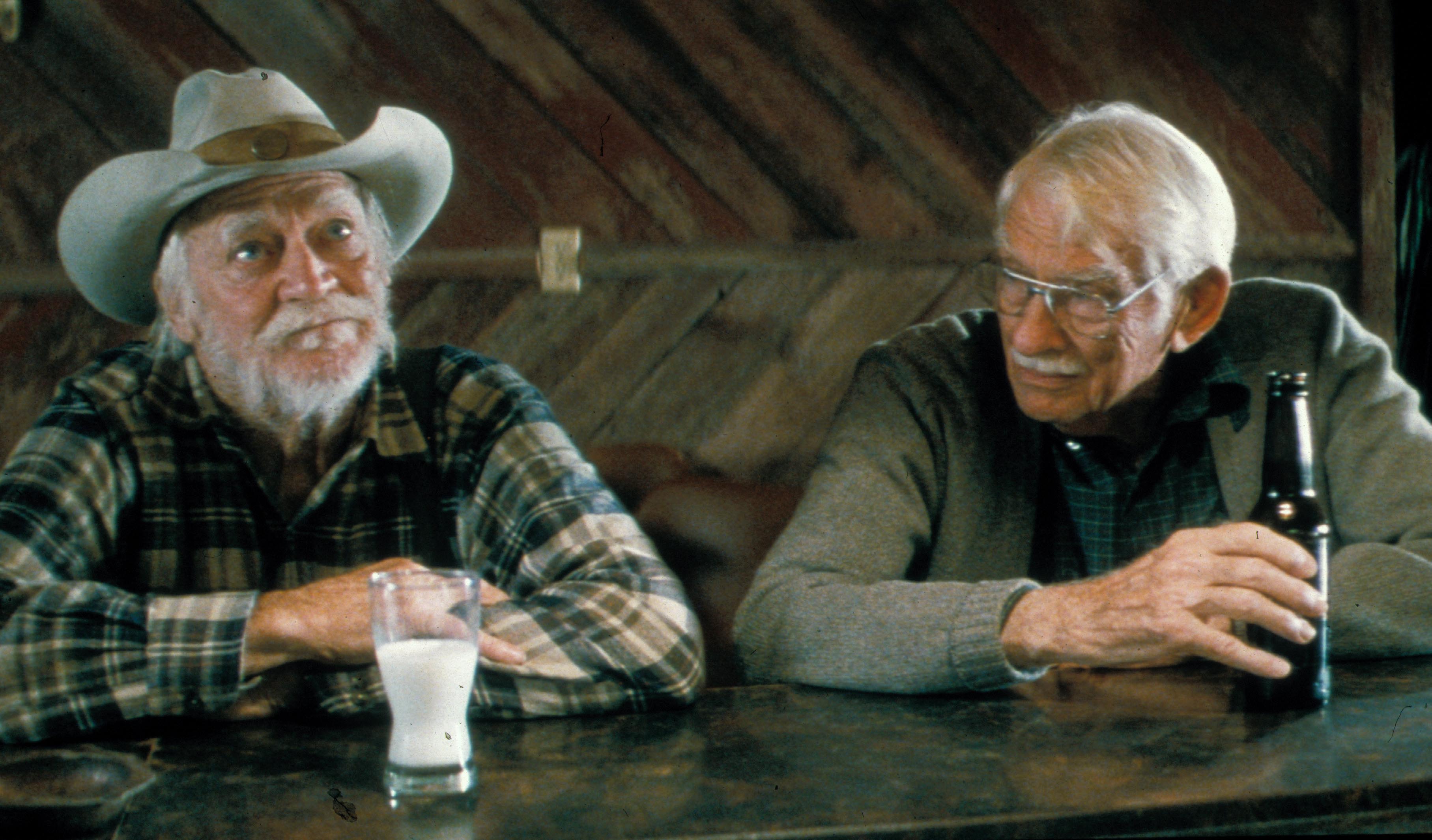 Editorial use only. No book cover usage.Mandatory Credit: Photo by Moviestore/Shutterstock (1650508a) The Straight Story, Richard Farnsworth, Wiley Harker Film and Television
