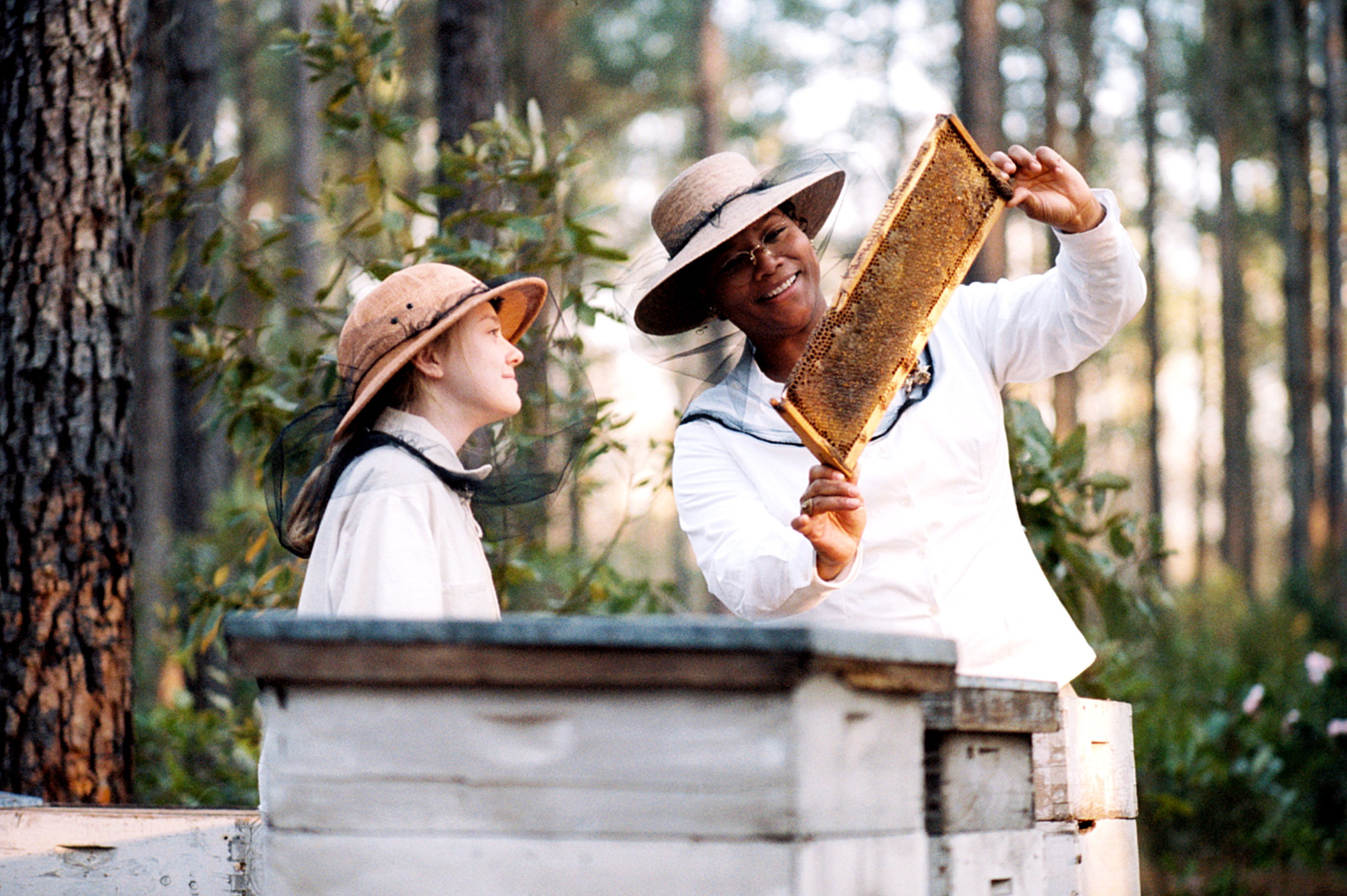 THE SECRET LIFE OF BEES, from left: Dakota Fanning, Queen Latifah, 2008, TM and ©Copyright Twentieth Century Fox. All Rights Reserved./Courtesy Everett Collection