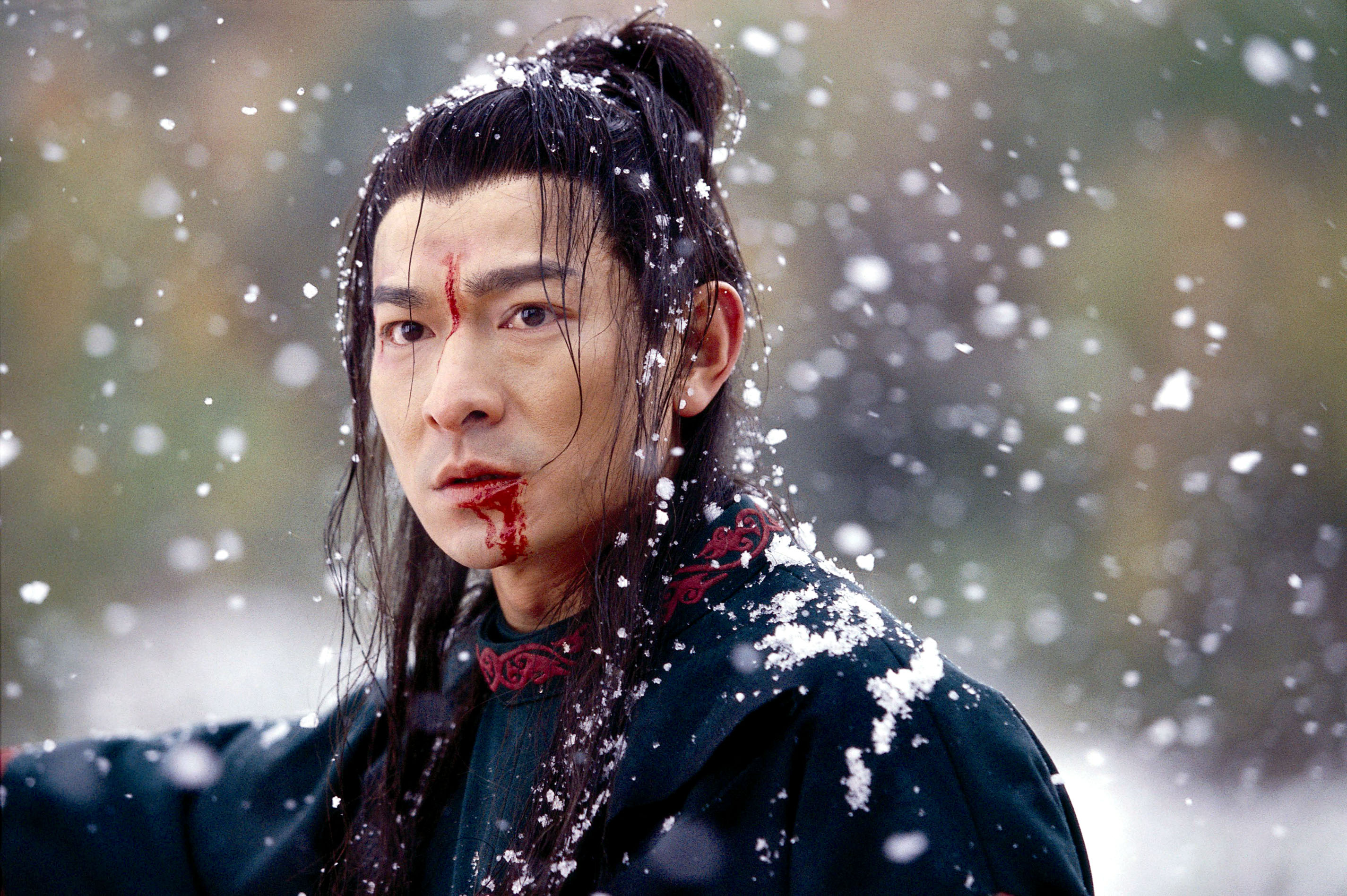 HOUSE OF FLYING DAGGERS, (aka SHI MIAN MAI FU), Andy Lau, 2004, (c) Sony Pictures Classics/courtesy Everett Collection